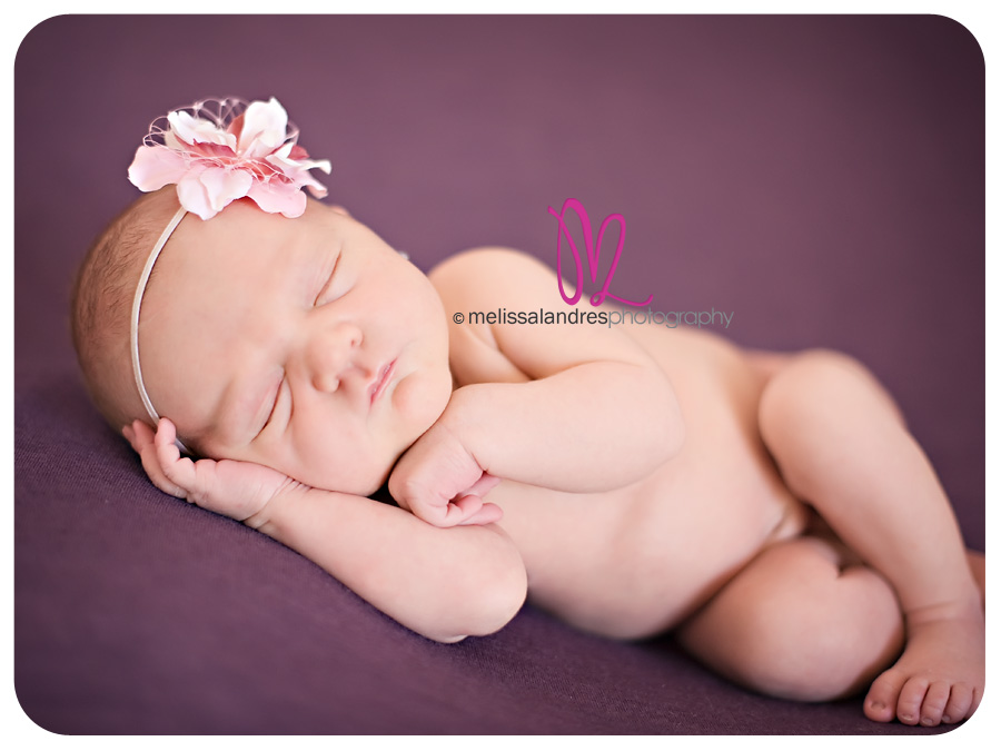 newborn baby photographer melissa landres