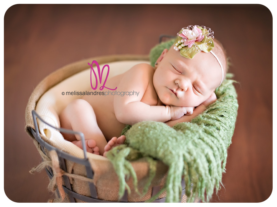 expecting mother pregnancy maternity newborn baby photographer melissa landres