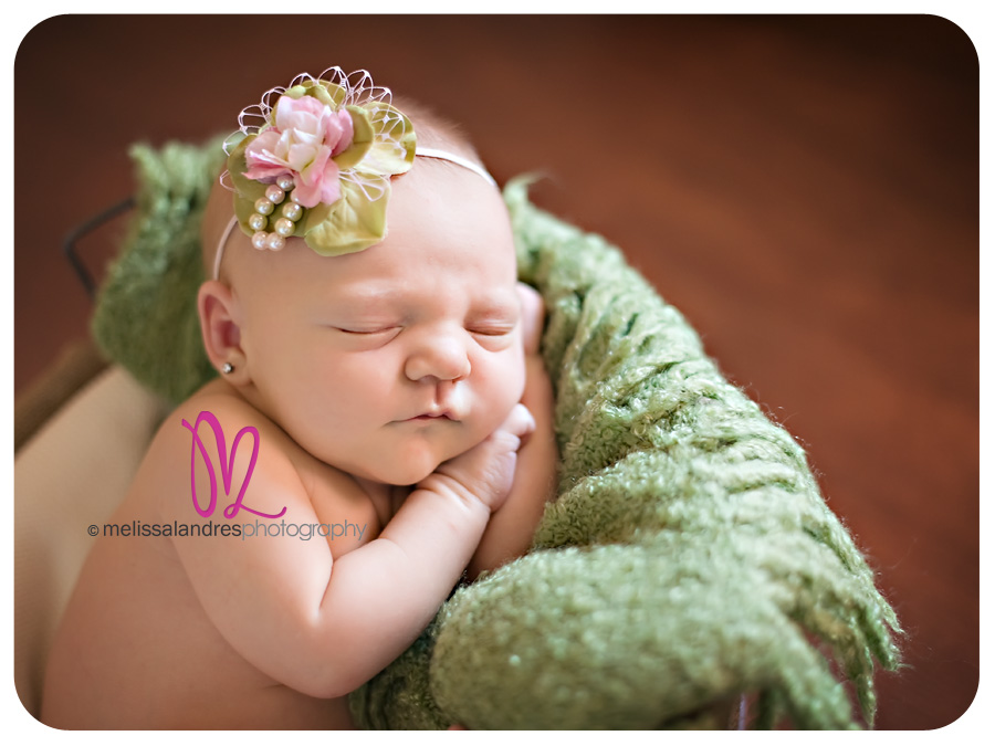 pregnancy maternity newborn baby photographer melissa landres