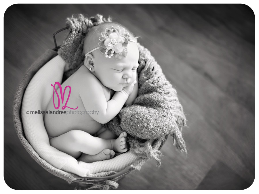 maternity newborn baby in a bucket photographer melissa landres