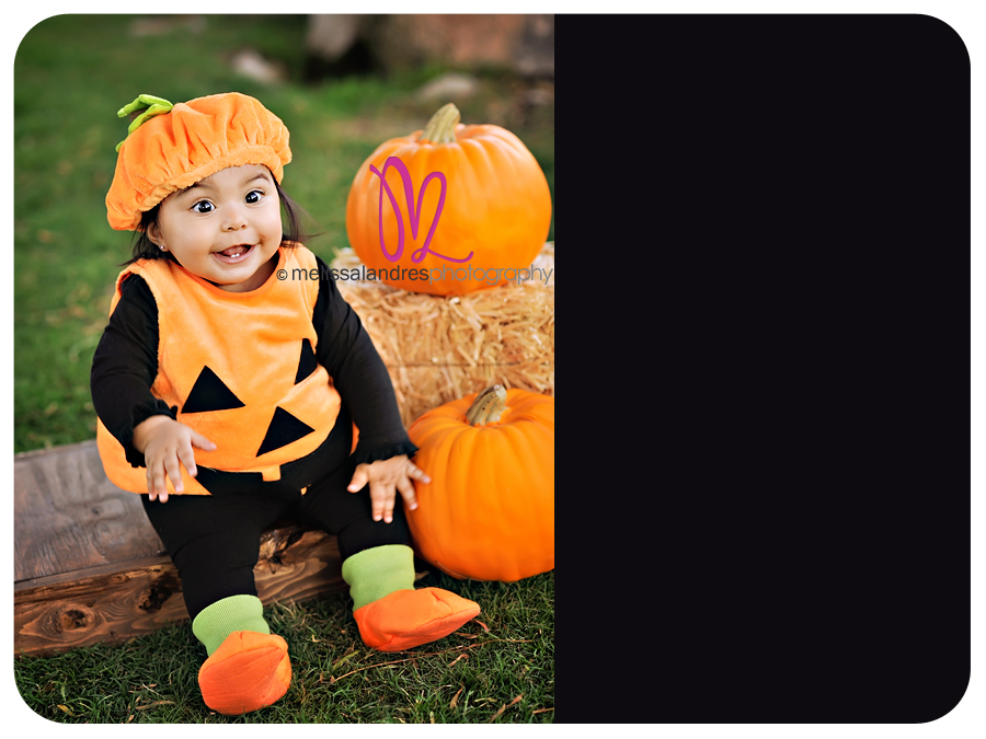 Little pumpkin :: newborn baby and toddler photographer Melissa Landres Palm Springs CA