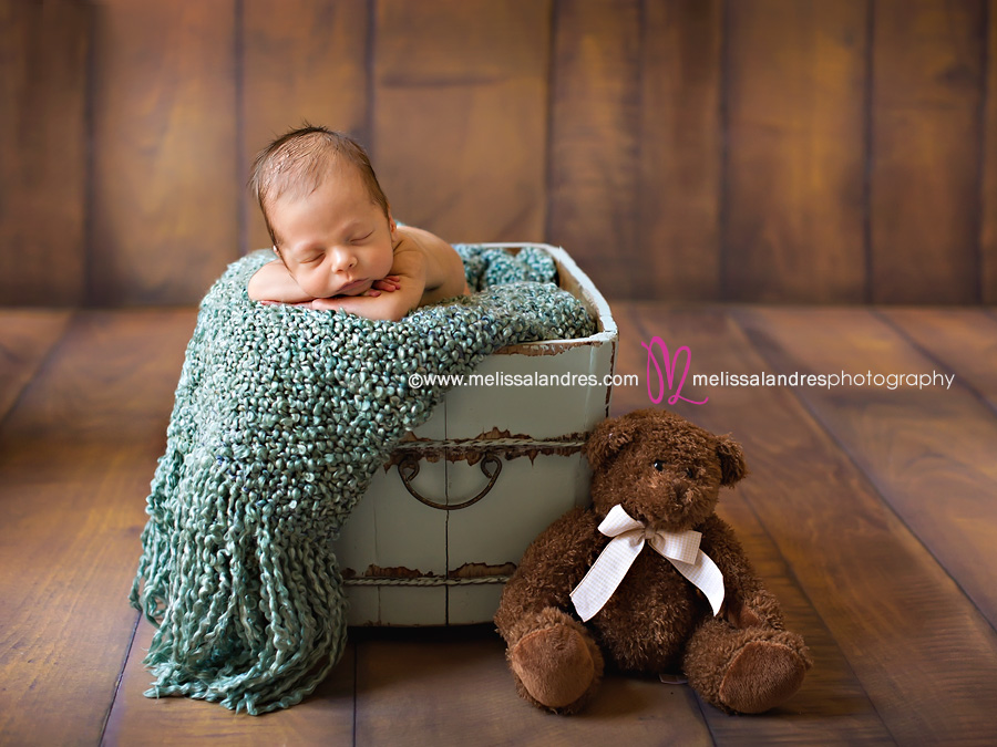 newborn baby photographer melissa landres