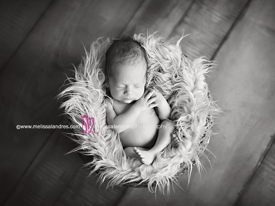 professional newborn baby photographer melissa landres