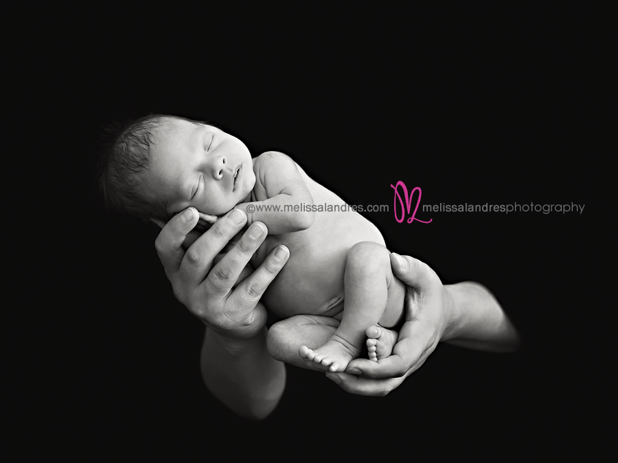 newborn baby portrait photographer melissa landres