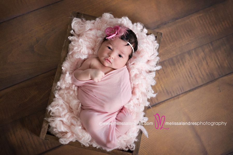 Newborn baby portraits, baby girl swaddled in pink wrap with pink fur by baby photographer Melissa Landres