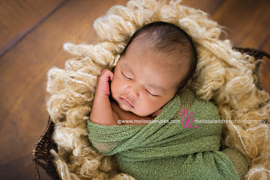 Newborn baby wrapped up nice and snug in basket by photographer Melissa Landres