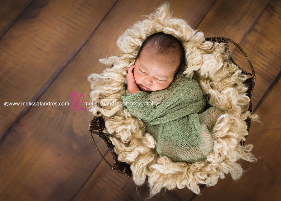 Beautiful newborn baby boy portraits by photographer Melissa Landres