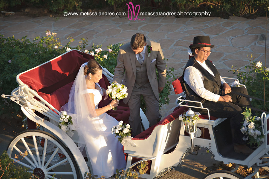 Bride and groom leave wedding in horse drawn carriage by photographer Melissa Landres