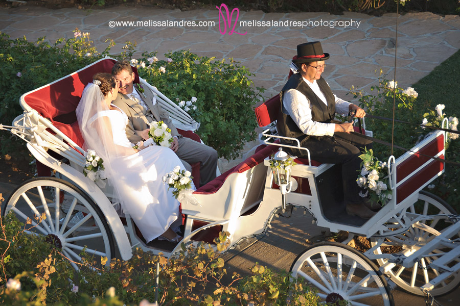 The happy couple leave wedding in horse drawn carriage by photographer Melissa Landres