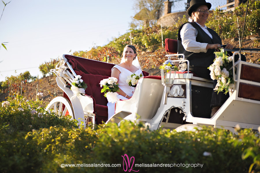 close up of the brides grand entrance in a horse drawn carriage by wedding photographer Melissa Landres