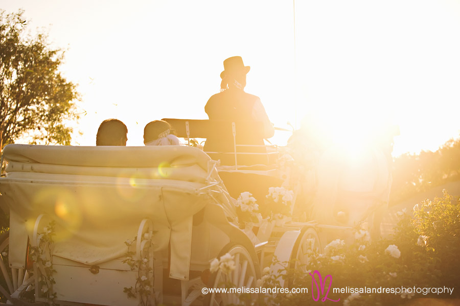 Bride and groom riding off into the sunset after the wedding by professional photographer Melissa Landres