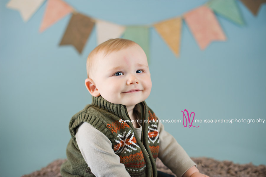 8 month old baby boy, photographs of baby's first year on light blue background with handmade bunting