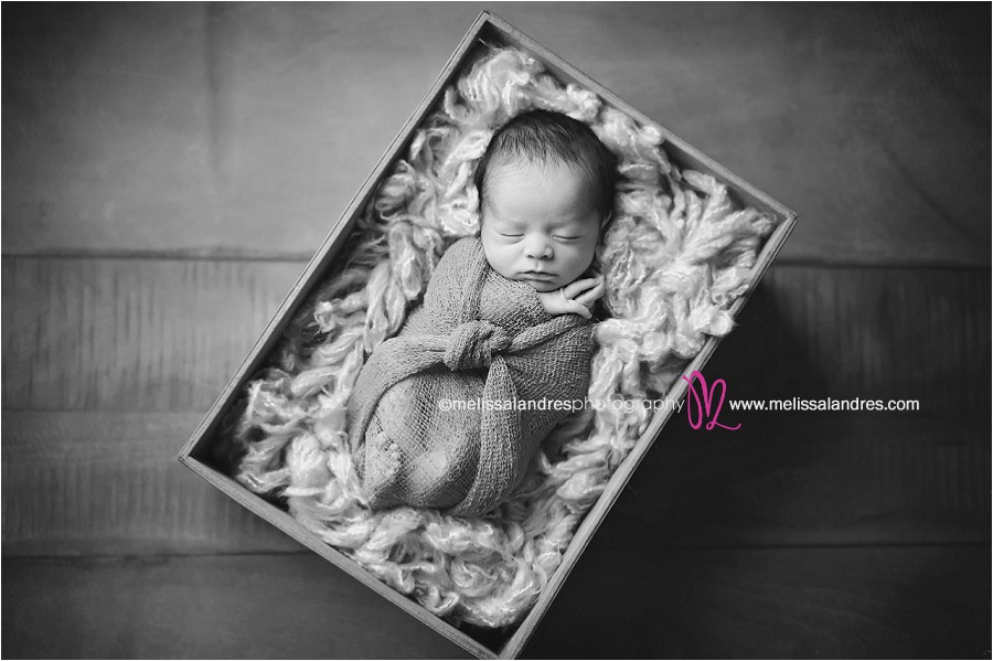 stunning baby portraits by Palm Desert newborn photographer Melissa Landres