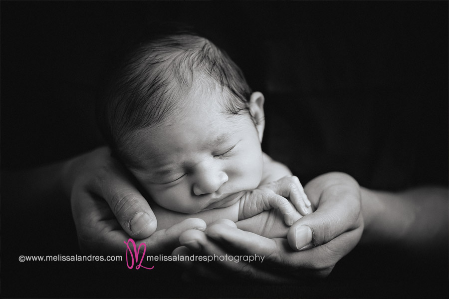 brand new baby in daddy's big strong hands, beautiful timeless black and white portraits