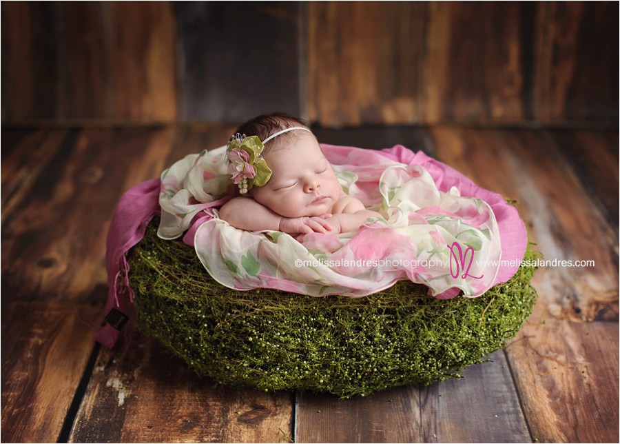 La Quinta CA newborn baby photographer : New little sister