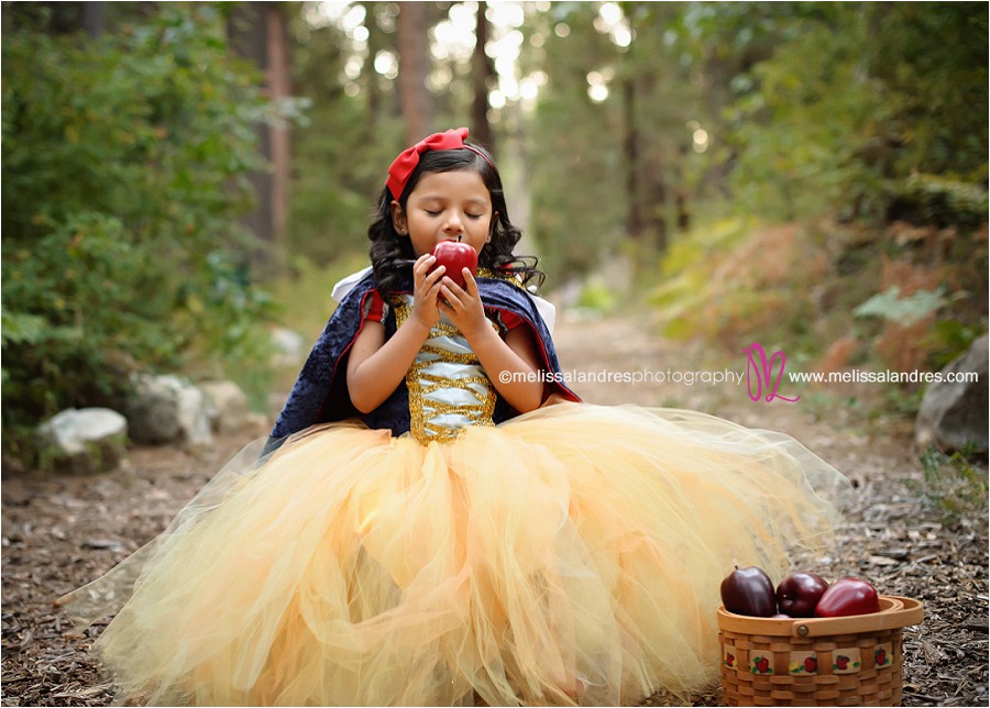 Disney princess theme childrens' photos by portrait photographer Melissa Landres