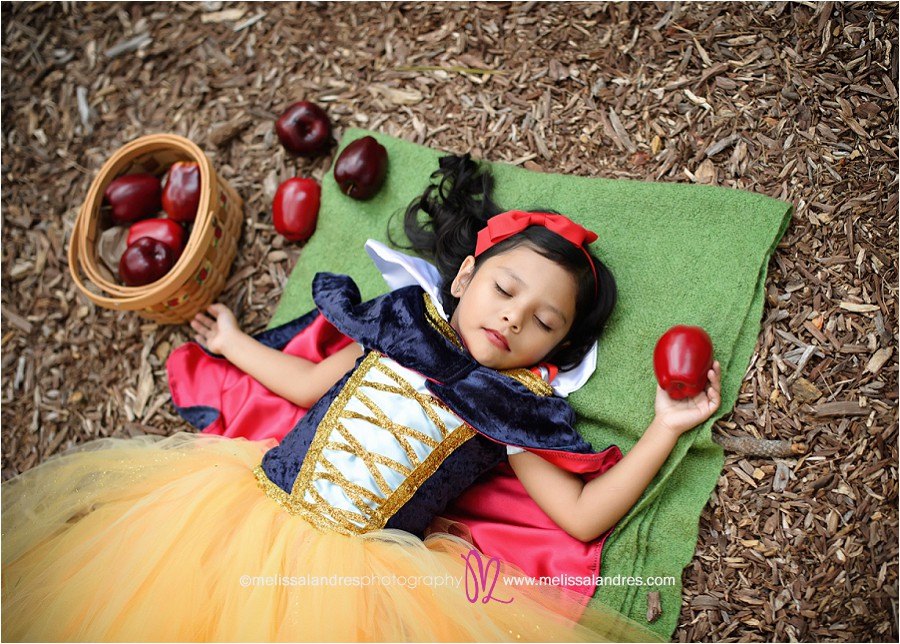 Disney princess theme childrens' photos by portrait photographer Melissa Landres