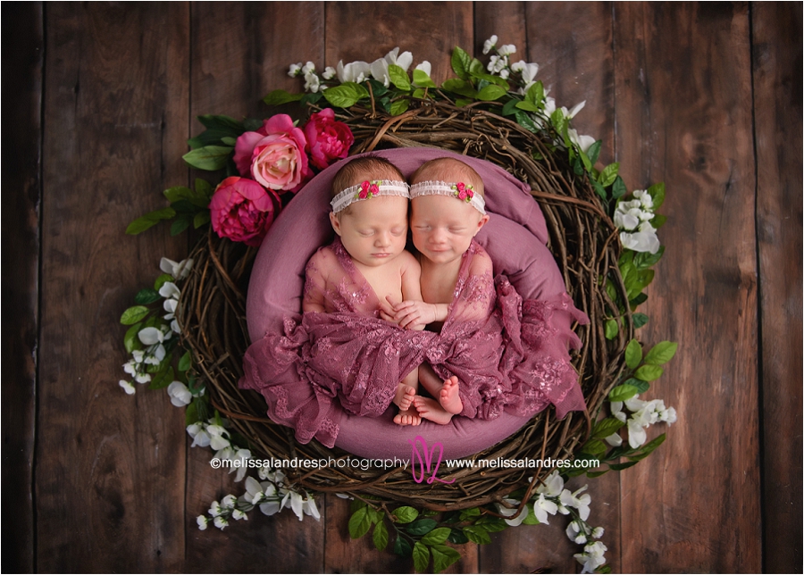 best baby twins photographer, La Quinta Melissa Landres photography
