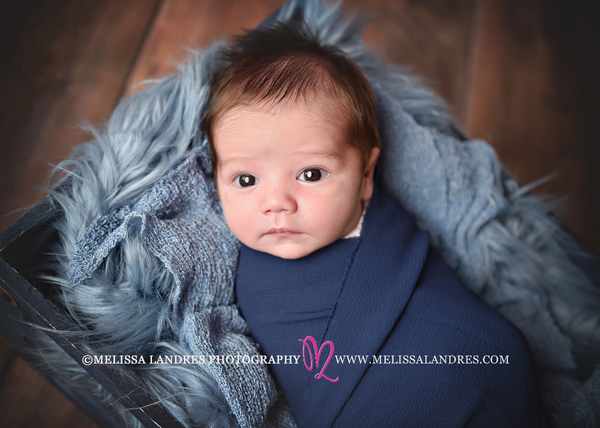 baby Dylan | Melissa Landres Photography